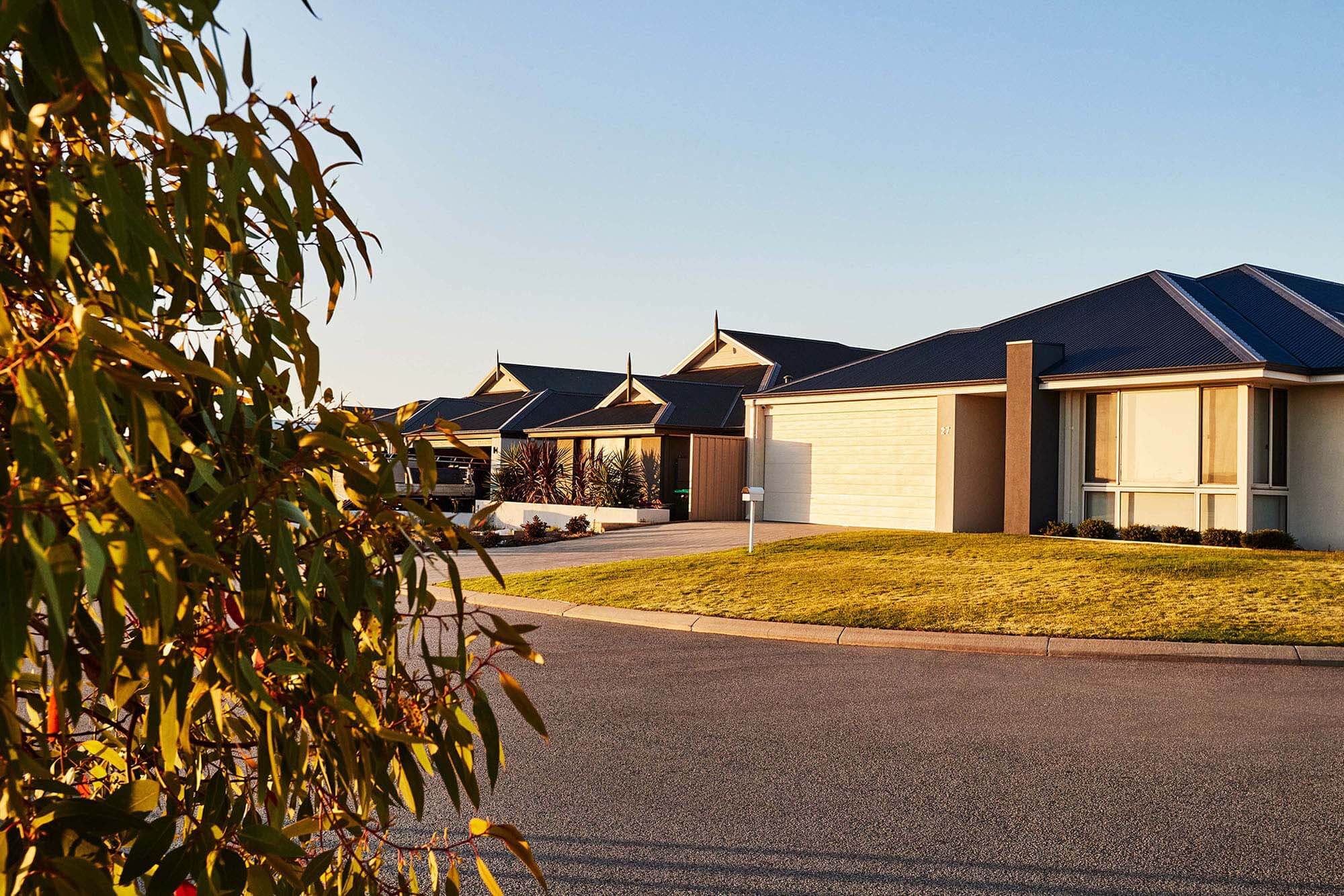 Native plants ideal for Whitby Town gardens in Western Australia